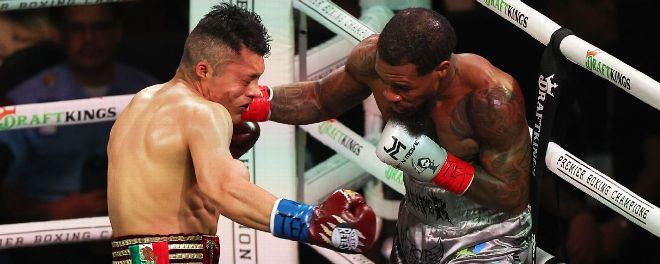 “el-pitbull”-vs-roach,-un-peleon…