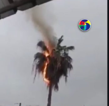 rayo-provoca-incendio-tras-impactar-palma-en-barranca,-la-vega
